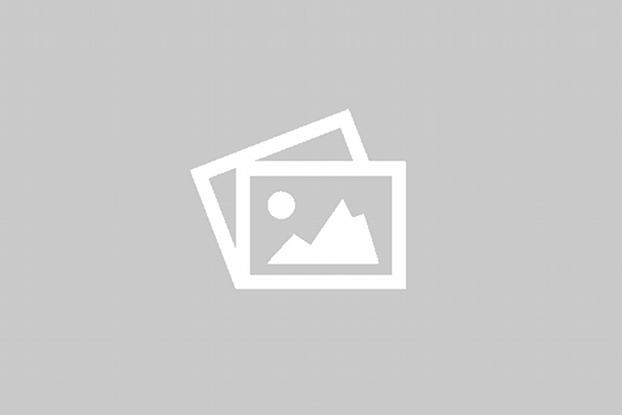 Flower of Life Meaning, Origin, application, effect 12 placeholder