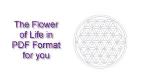 Flower of Life PDF