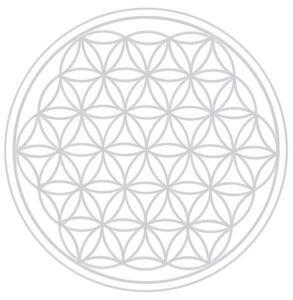 Flower of Life PDF