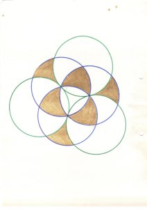 bdl selber8